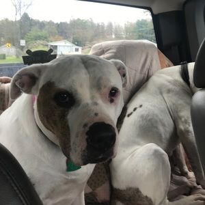 Meet your Posher, Leslie